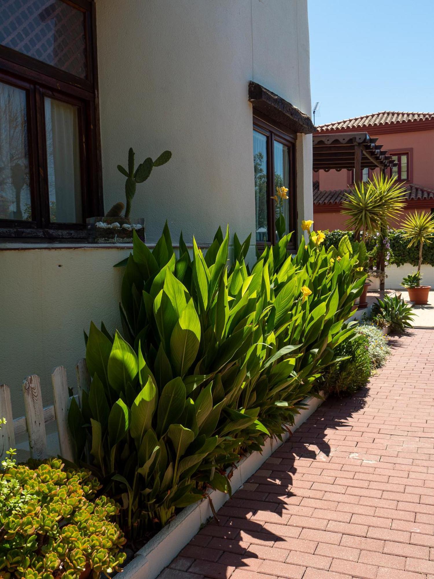 Villa Ibicenca Love Benalmádena Eksteriør bilde